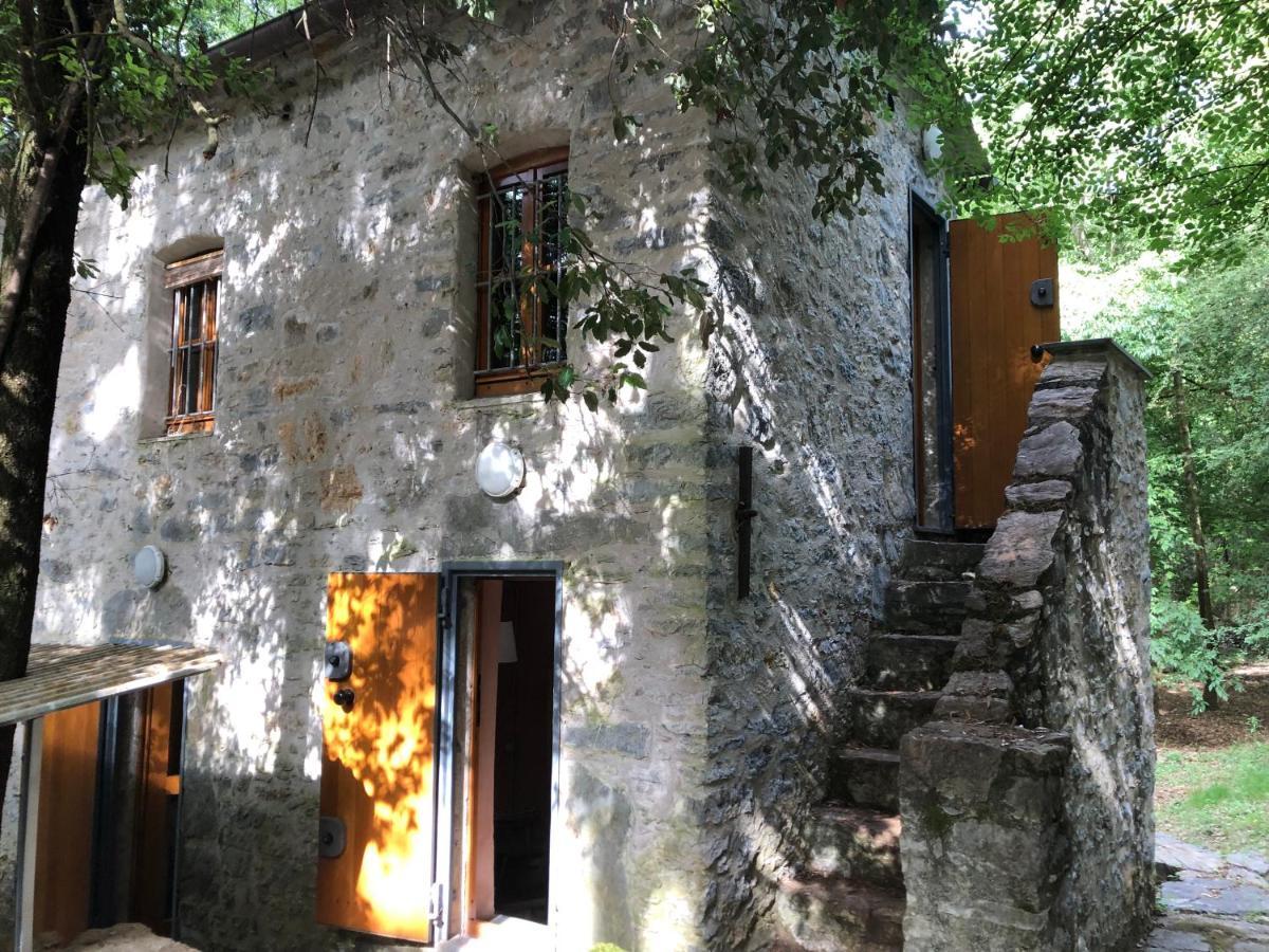 Casa Nel Bosco Sul Golfo Dei Poeti - Ciliegi